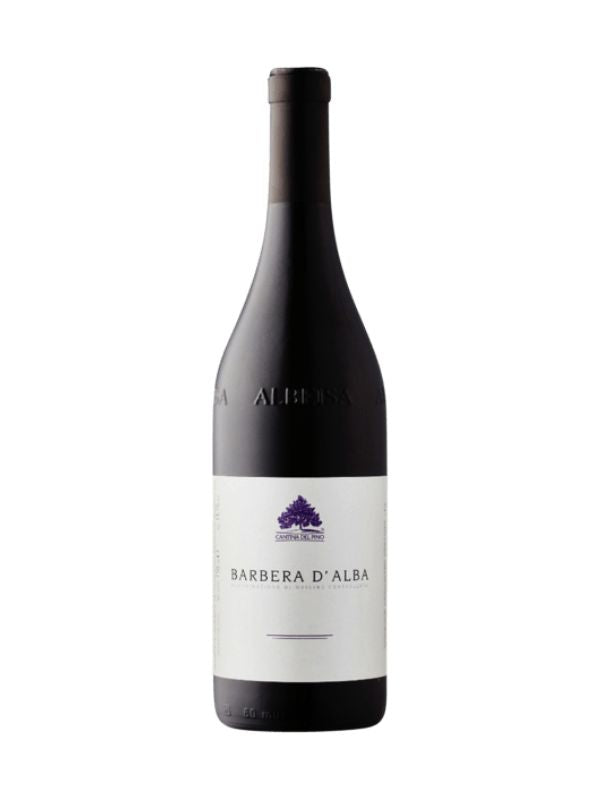 2021 Cantina del Pino Barbera d'Alba (Piedmont, IT) 2R