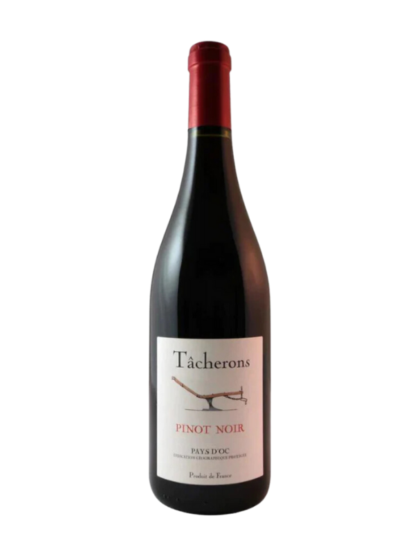 2021 Tacherons "Haute Vallee" Pinot Noir (Languedoc-Roussillon, FR) 2R