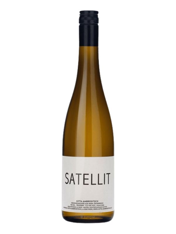 2021 Jutta Ambrositsch "Satellit" (Burgenland, AT) 3W