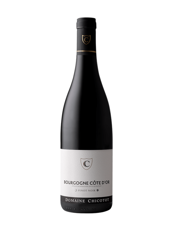 2021 Domaine Chicotot Bourgogne Cote d'Or (Bourgogne, FR) 2R